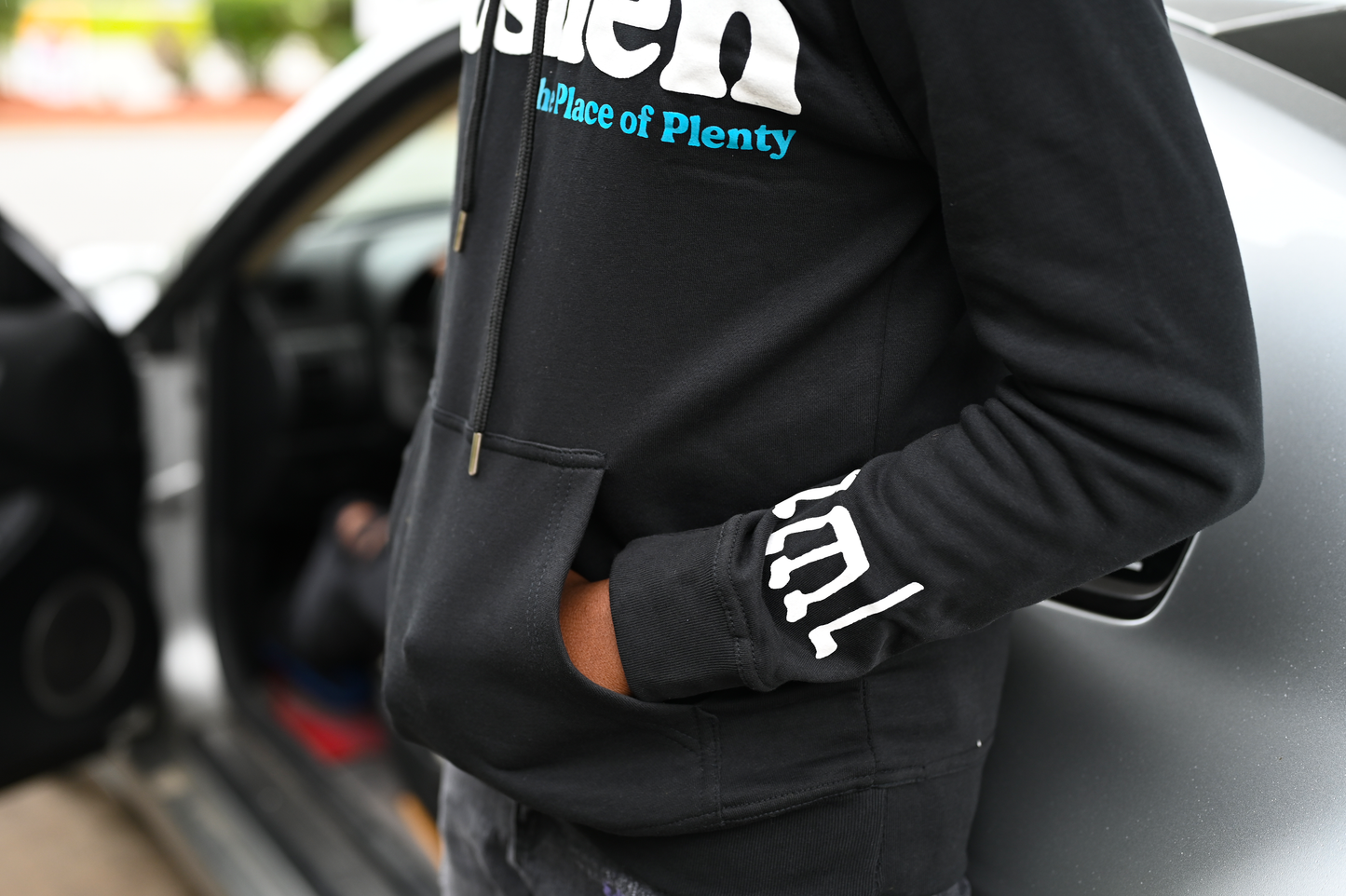 Goshen Puff Print  Hoodie