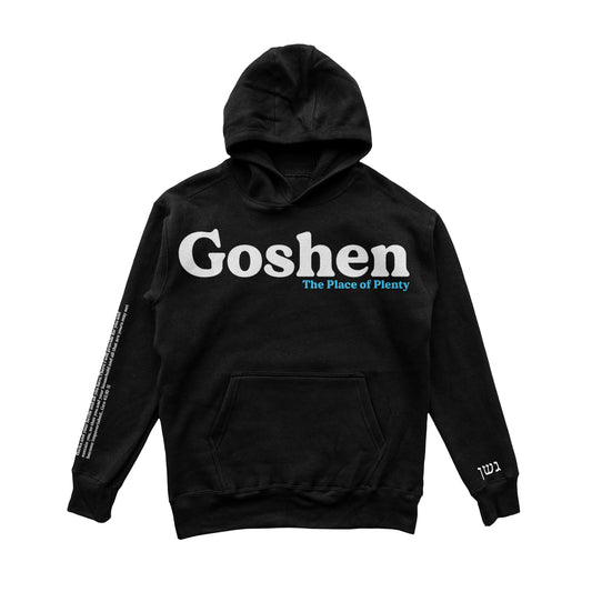 Goshen Puff Print  Hoodie