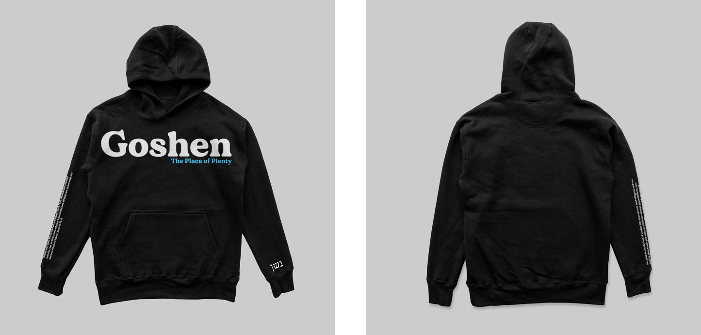 Goshen Puff Print  Hoodie